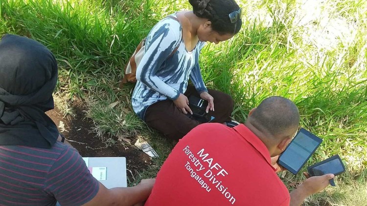 Field training session using QField to collect agricultural survey data in Tonga