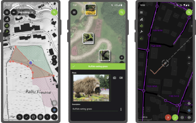 Snappy QField 3.1 “Borneo” has arrived – OPENGIS.ch