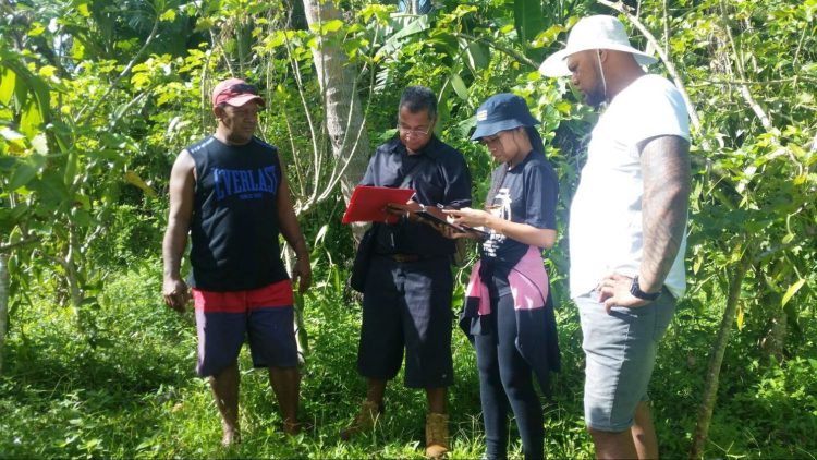 Land surveying project Tonga
