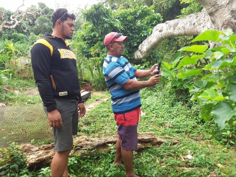 Land surveying project Tonga